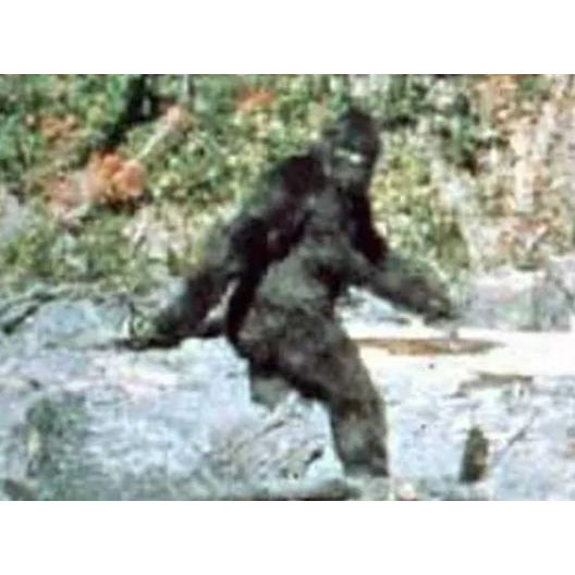 Bigfoot Zia T Shirt-#1 Ranked New Mexico Salsa & Chile Powder | Made in New Mexico