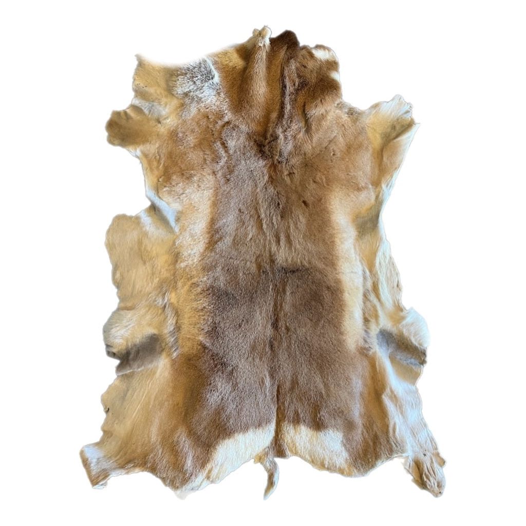 Eagle Antelope Hide Painting by Joseph Toledo-#1 Ranked New Mexico Salsa & Chile Powder | Made in New Mexico