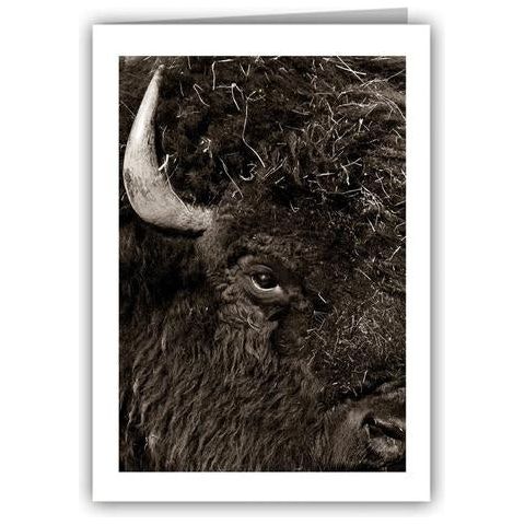 Geraint Smith Greeting Card Box Set-#1 Ranked New Mexico Salsa & Chile Powder | Made in New Mexico