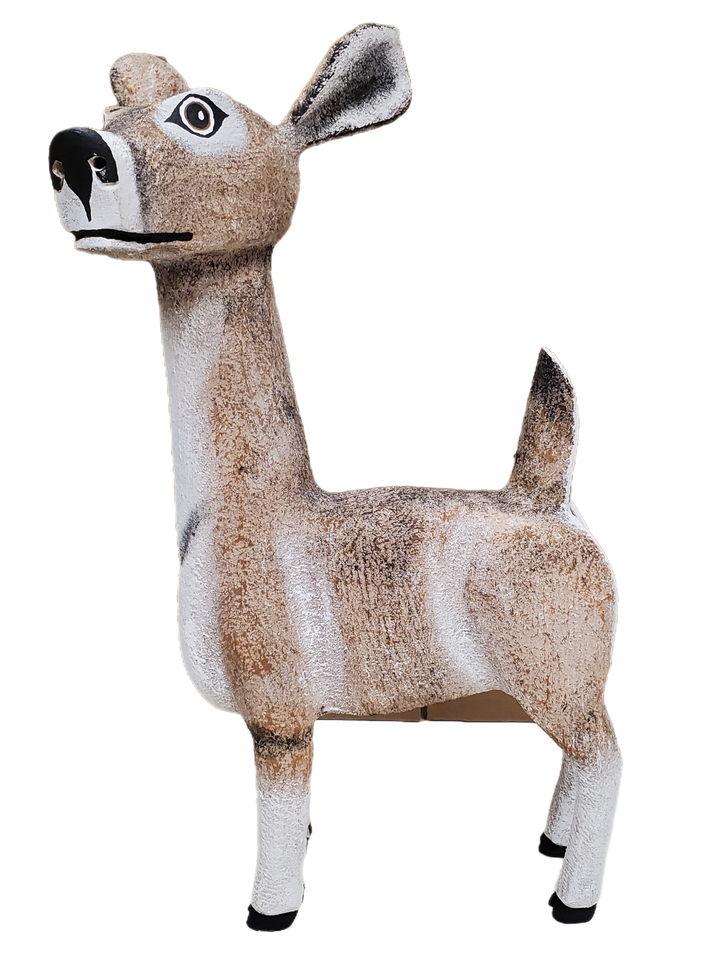 Joseph Ortega Animals