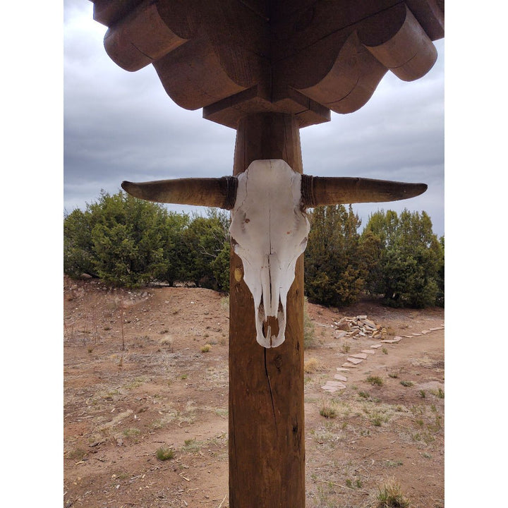 Steer or Cow Skull-#1 Ranked New Mexico Salsa & Chile Powder | Made in New Mexico