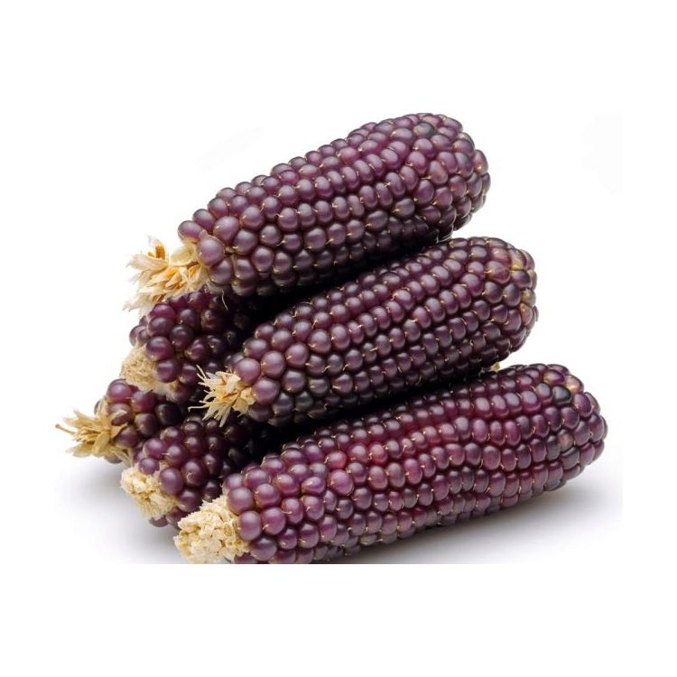 Tamaya Blue Corn Mixes-#1 Ranked New Mexico Salsa & Chile Powder | Made in New Mexico