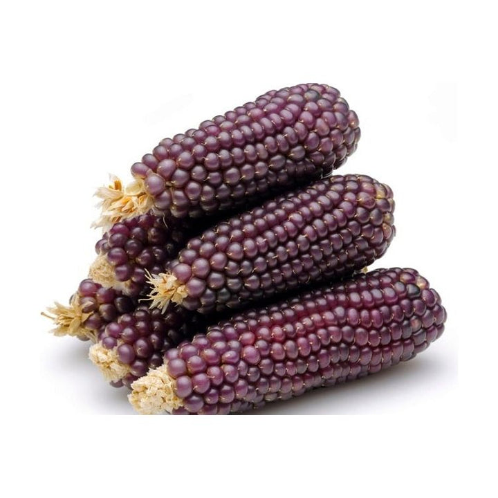 Tamaya Blue Corn Mixes-#1 Ranked New Mexico Salsa & Chile Powder | Made in New Mexico