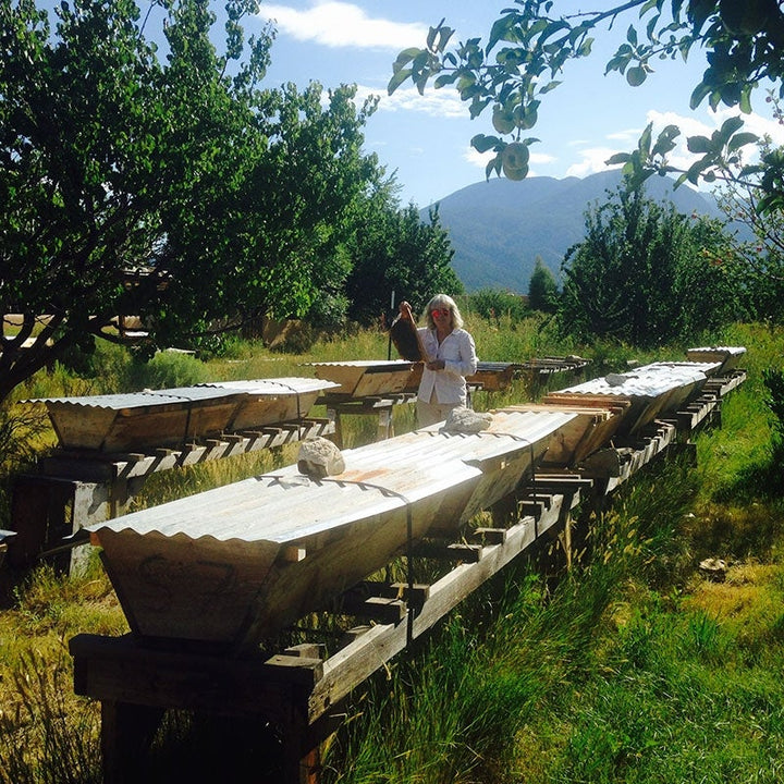 Taos Bee Honeybee Balm-#1 Ranked New Mexico Salsa & Chile Powder | Made in New Mexico