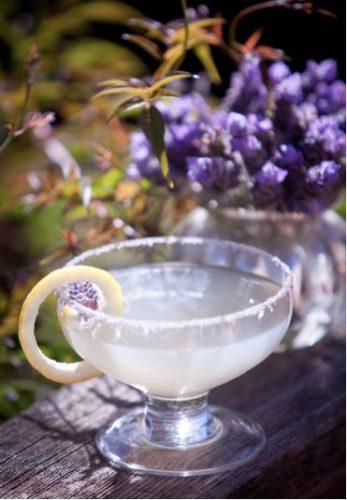 Lavender Margarita Recipe
