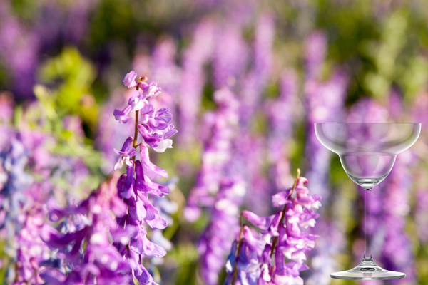 Lavender Margarita Recipe