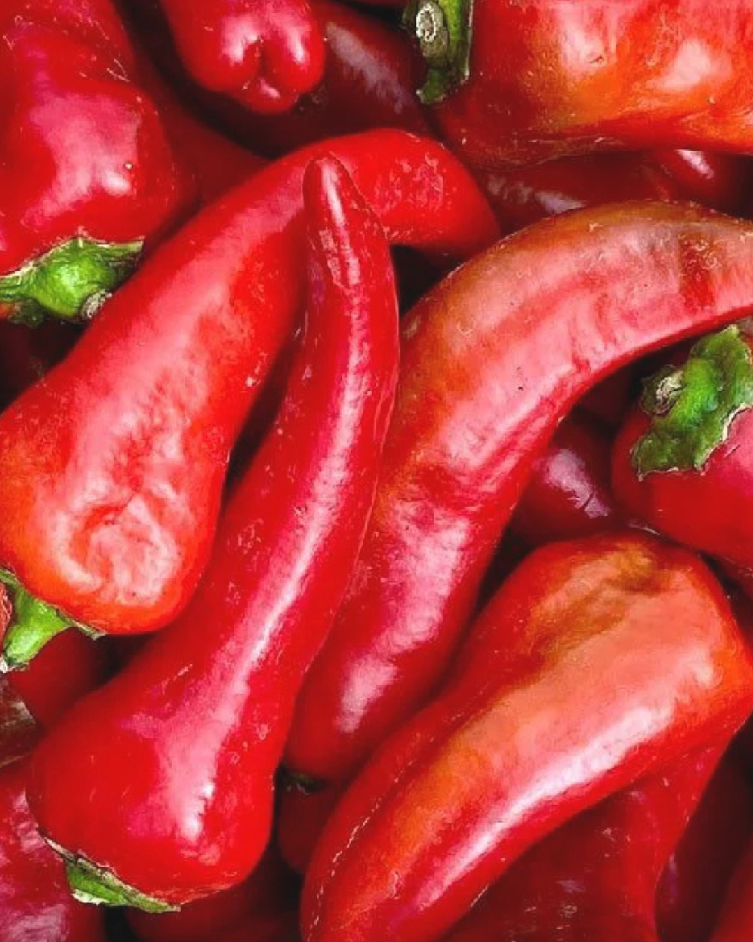 Red Chile