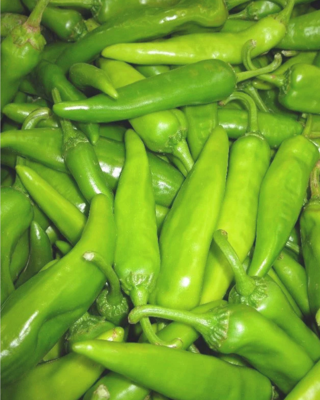 Green Chile