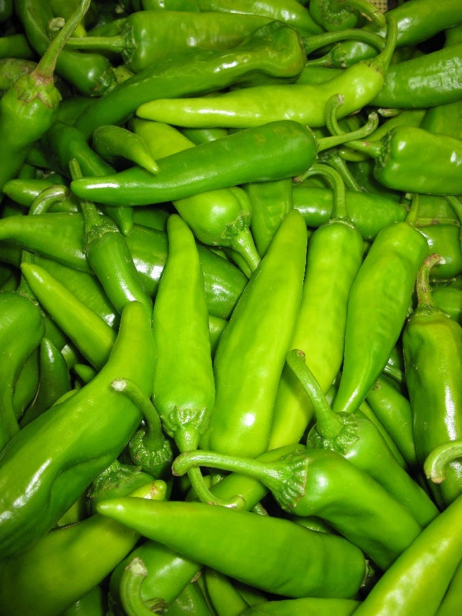 575 Green Chile Salsa Hot-Made in New Mexico