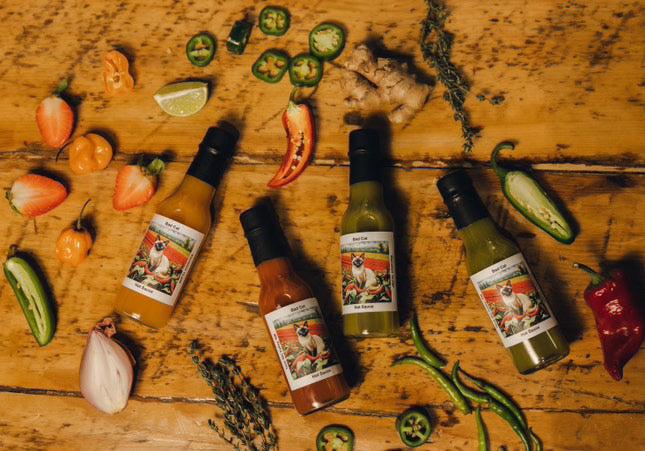 Bad Cat Hot Sauce/ Taos Ski Valley