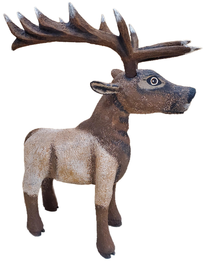 Joseph Ortega Animals