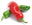 Made in New Mexico logo
